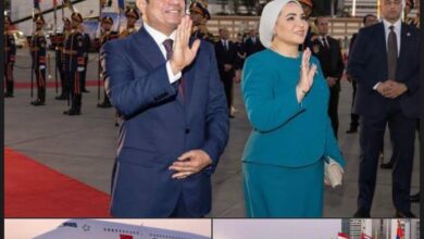 من أرض النيل.. السيدة انتصار السيسي ترحب بالرئيس الصيني وقرينته 