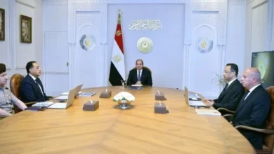 الرئيس السيسى يؤكد ضرورة جذب وتنشيط الاستثمارات فى مجالات الحوسبة السحابية والذكاء الاصطناعى 