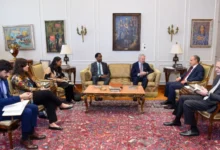 وزير الخارجية: أهمية وقف التصعيد وإنهاء الصراع في السودان 