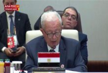 أمام قمة شنغهاي.. مصر تدعو لإصلاح مجلس الأمن ومنح أفريقيا صوتًا مؤثرًا 