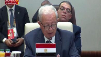 أمام قمة شنغهاي.. مصر تدعو لإصلاح مجلس الأمن ومنح أفريقيا صوتًا مؤثرًا 