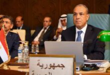مصر تطرح رؤية لتعزيز القدارت الجماعية على حماية الأمن القومي العربي 