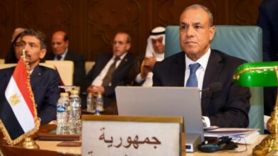 مصر تطرح رؤية لتعزيز القدارت الجماعية على حماية الأمن القومي العربي 