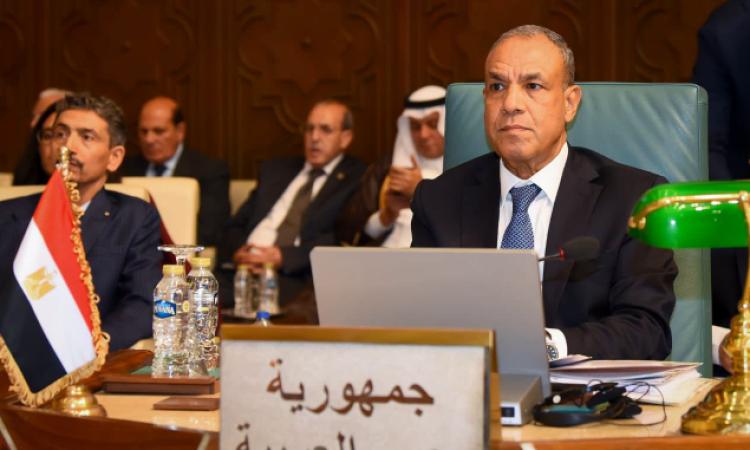 مصر تطرح رؤية لتعزيز القدارت الجماعية على حماية الأمن القومي العربي 