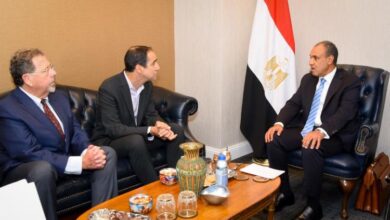 وزير الخارجية يؤكد رفض مصر القاطع لأية محاولات لتهجير الفلسطينيين 