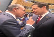 نشاط مكثف لوزير الخارجية يبحث مع نظيره الأمريكي العلاقات الاستراتيجية بين البلدين 