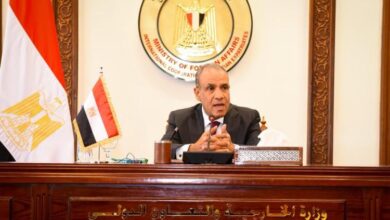 وزير الخارجية يعقد جلسة إحاطة موسعة للمراسلين الأجانب وممثلي وسائل الإعلام الإقليمية والدولية