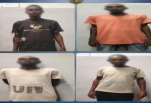 ضبط 33 شخصا "يحملون جنسية احدى الدول” لعدم حملهم تصاريح إقامة وافتراشهم للحدائق العامة بالجيزة 