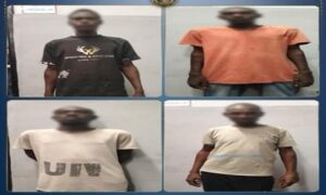 ضبط 33 شخصا "يحملون جنسية احدى الدول” لعدم حملهم تصاريح إقامة وافتراشهم للحدائق العامة بالجيزة 