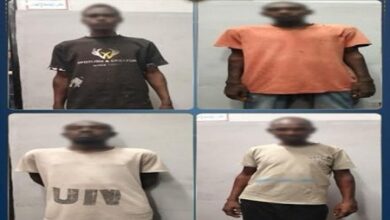 ضبط 33 شخصا "يحملون جنسية احدى الدول” لعدم حملهم تصاريح إقامة وافتراشهم للحدائق العامة بالجيزة 