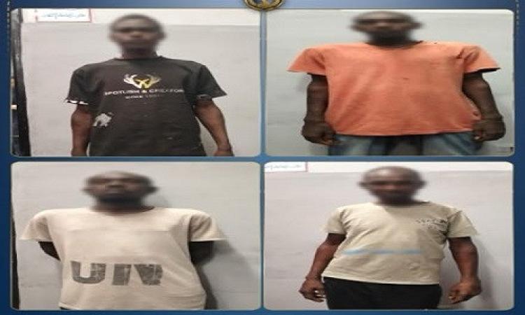 ضبط 33 شخصا "يحملون جنسية احدى الدول” لعدم حملهم تصاريح إقامة وافتراشهم للحدائق العامة بالجيزة 