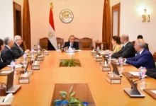 وزير الخارجية يؤكد أهمية تعظيم الاستفادة من فرص مسارات الهجرة النظامية 