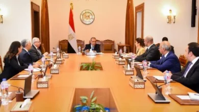 وزير الخارجية يؤكد أهمية تعظيم الاستفادة من فرص مسارات الهجرة النظامية 