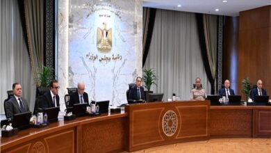 قرارات مهمة للحكومة.. خطة جديدة لملكية الدولة ومنطقة استثمارية لـ«الديار القطرية»