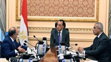 رئيس الوزراء: دعم توطين صناعة الدواء والمستلزمات الطبية وزيادة الإنتاج 