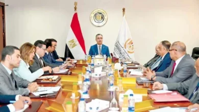 التموين: إجراءات استباقية لتأمين احتياجات البلاد من القمح  