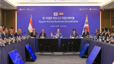 الرئيس السيسي يوجه الدعوة لإنشاء منطقة صناعية كورية متكاملة بقناة السويس 