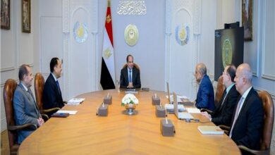 الرئيس السيسي: ضرورة بناء مزيج طاقة أكثر تنوعًا واستدامة بهدف تعزيز أمن الطاقة 