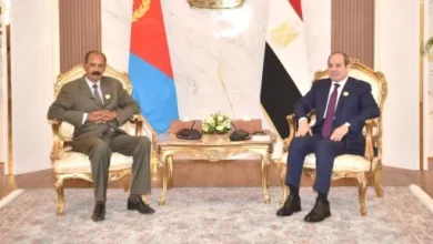 الرئيس السيسى يؤكد لأفورقى دعم مصر الكامل لأمن واستقرار دولة إريتريا واحترام سيادتها 