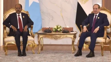 الرئيس السيسى ونظيره الصومالى يبحثان القضايا المرتبطة بأمن واستقرار القرن الأفريقى وباب المندب وخليج عدن والبحر الأحمر.. الرئيس: حريصون على مواصلة تقديم مختلف أشكال الدعم للأشقاء فى الصومال