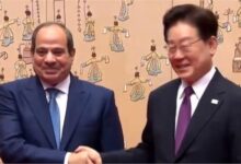 الرئيس السيسي: الشراكة المصرية الكورية تعزز التنمية وتدعم الاستقرار والأمن الدوليين 