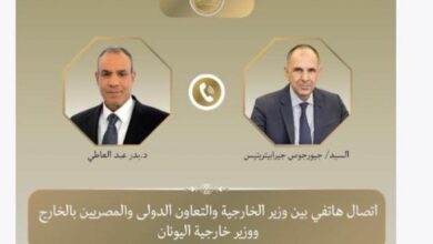 مصر واليونان يشددان على رفض اتفاقية الصلاحية البحرية بين تركيا والنواب الليبي 