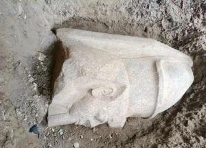 مكتشف تمثال رمسيس الثانى فى أرضه بالغربية: أبلغت الآثار وعملت الصح 