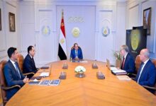 الرئيس السيسي يوجه بتعزيز التصنيع المحلي وزيادة القيمة المضافة للإنتاج الوطني 