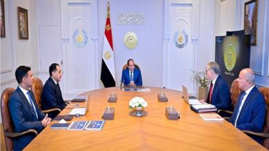 الرئيس السيسي يوجه بتعزيز التصنيع المحلي وزيادة القيمة المضافة للإنتاج الوطني 