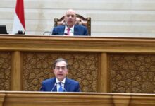 "النواب" يعلن تشكيل اللجان النوعية .. شكري لـ"خارجية " ورضوان لـ"حقوق الانسان"