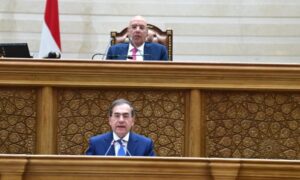 "النواب" يعلن تشكيل اللجان النوعية .. شكري لـ"خارجية " ورضوان لـ"حقوق الانسان"