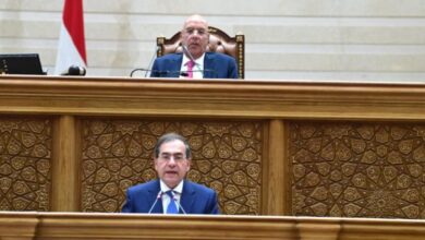 "النواب" يعلن تشكيل اللجان النوعية .. شكري لـ"خارجية " ورضوان لـ"حقوق الانسان"