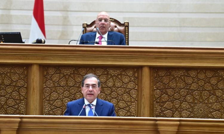 "النواب" يعلن تشكيل اللجان النوعية .. شكري لـ"خارجية " ورضوان لـ"حقوق الانسان"