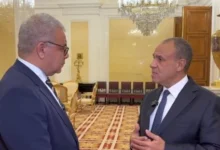 وزير الخارجية: فخامة الرئيس السيسي يدفع بأولويات الأجندة المصرية في العلاقات مع روسيا 