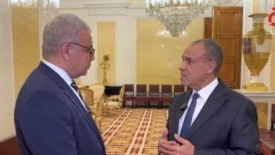 وزير الخارجية: فخامة الرئيس السيسي يدفع بأولويات الأجندة المصرية في العلاقات مع روسيا 