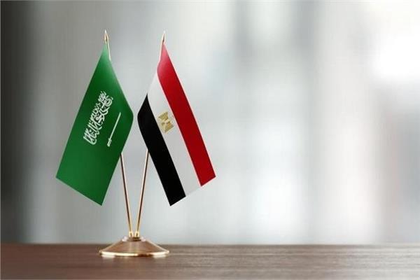 مجلس الدفاع الوطني يؤكد وقوف مصر الكامل إلى جانب السعودية