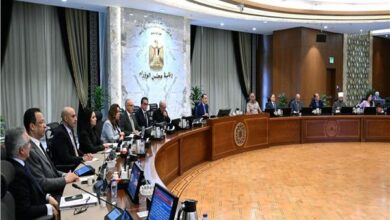مجلس الوزراء يوافق على 12 قرارا منها 43 طلباً لتخصيص قطع أراضٍ لبعض الشركات بنظام البيع بالدولار الأمريكي من خارج البلاد وفقاً للضوابط والآليات المعتمدة