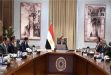 مدبولي يتابع جهود توفير الأسمدة الزراعية ومستجدات خطوات حوكمة منظومة صرفها 