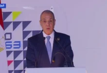 وزير الخارجية: مشروع سد جوليوس نيريرى يمثل شاهدا على ما يمكن لأفريقيا تحقيقه