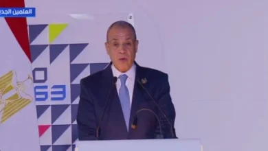 وزير الخارجية: مشروع سد جوليوس نيريرى يمثل شاهدا على ما يمكن لأفريقيا تحقيقه