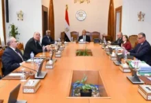 وزيرالخارجية يجتمع مع مجلس إدارة الوكالة المصرية للشراكة من أجل التنمية 