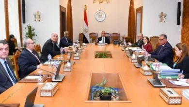 وزيرالخارجية يجتمع مع مجلس إدارة الوكالة المصرية للشراكة من أجل التنمية 