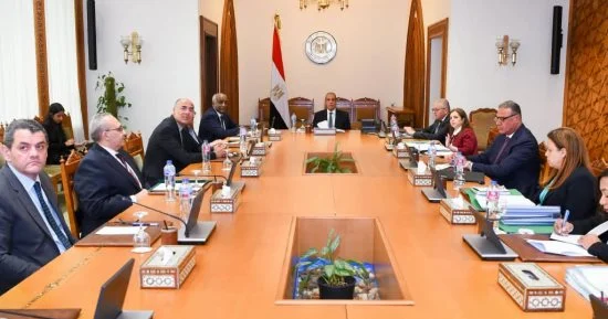 وزيرالخارجية يجتمع مع مجلس إدارة الوكالة المصرية للشراكة من أجل التنمية 